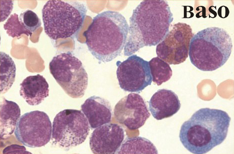 ����-��ķ�_ȾɫҺ