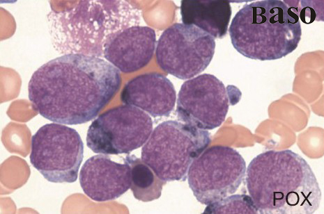 �^������øȾɫҺ