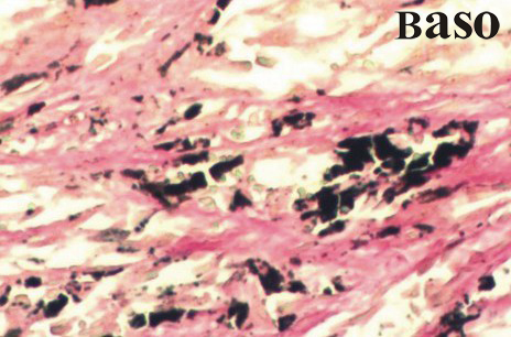 ��ɫ��ȾɫҺ�����၆�F����