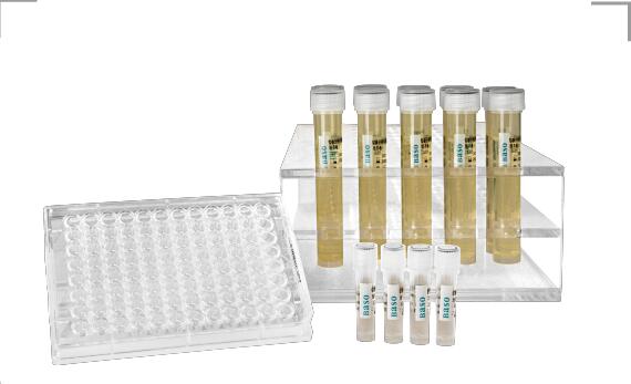 �ǽY(ji��)�ˣ��Y(ji��)�˷�֦�U��ˎ��MIC���w��Q����